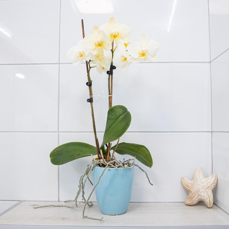 Apartment Mari&Bor 马里博尔 外观 照片